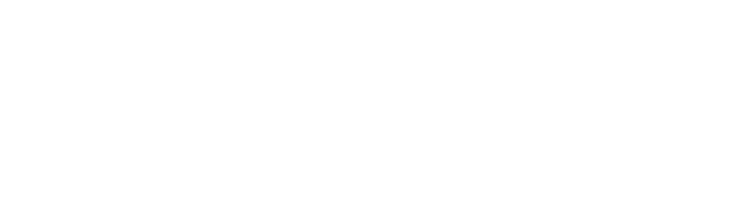 Team Lincolnshire Logo